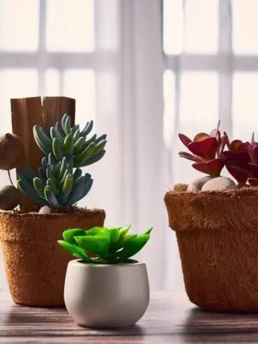 Planters